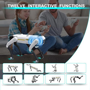 Smart Dog Multifunctional