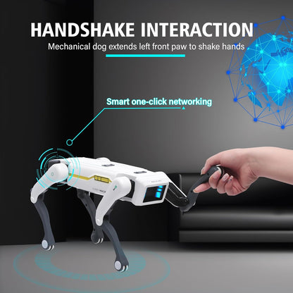 Smart Dog Multifunctional