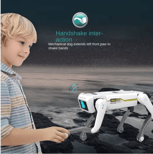 Smart Dog Multifunctional